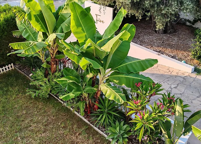 Five Palms Villa Paphos